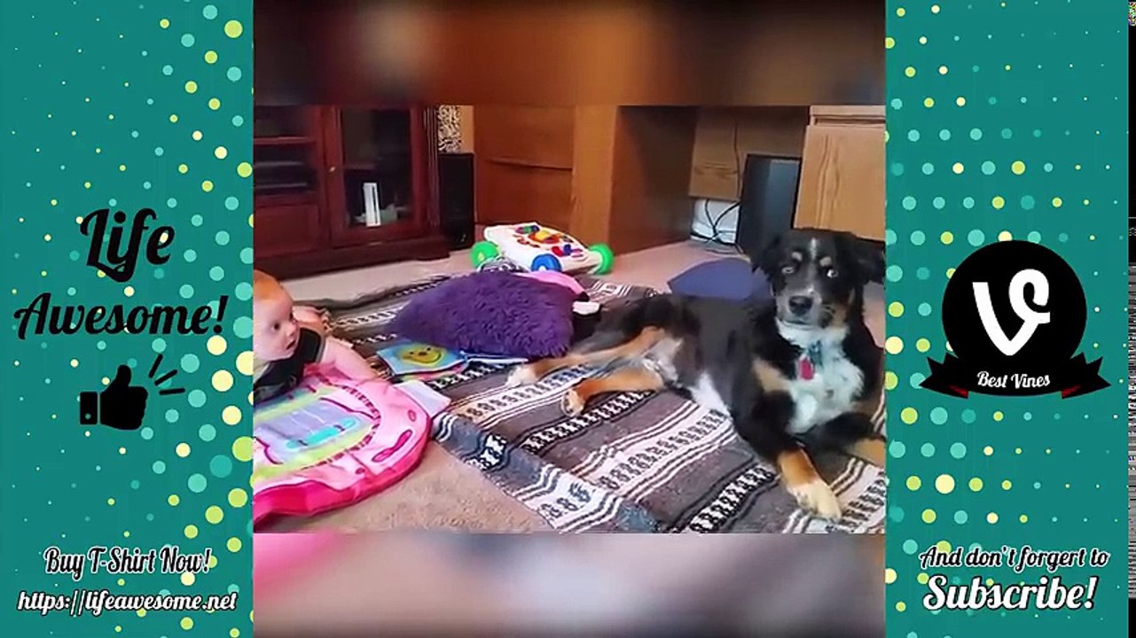 TRY NOT TO LAUGH or GRIN - Funny Kids Fails Compilation 2018 - Funny Animals and Kids Fails Vines