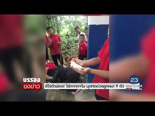 ฮีโร่ตัวน้อย!ใส่กางเกงใน มุดท่อช่วยลูกหมา 9 ตัว l บรรจงชงข่าว l 27 ก.ย.60