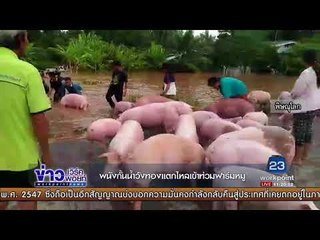 พิจิตร พิษณุโลก เผชิญน้ำท่วมหนัก l ข่าวเวิร์คพอยท์ I 18 ก.ย. 60