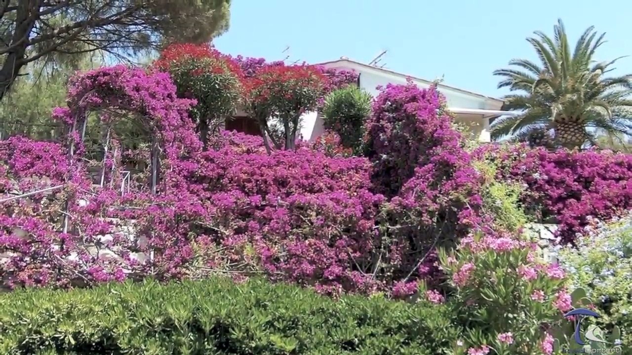 Elba Island - Italy