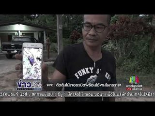 ผงะ! ตัดต้นไม้เจอระเบิดพร้อมใช้งานในกระถาง   Iข่าวเวิร์คพอยท์ ดึก l 5 ต.ค. 60