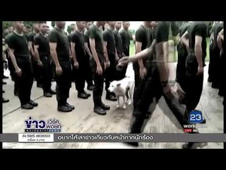 เจ้าขาว หมาแสนรู้ร่วมฝึก รด.กับนักเรียน l ข่าวเวิร์คพอยท์ l 5 ต.ค. 60