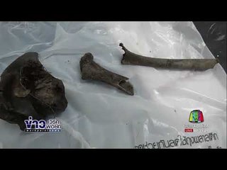 ผงะ! พบชิ้นส่วนโครงกระดูก โผล่ตึกแถวกลางกรุง l ข่าวเวิร์คพอยท์ l 8 ต.ค.60