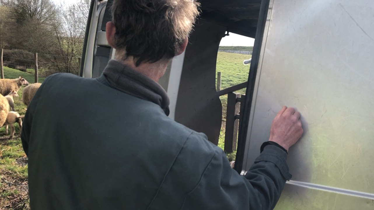 Eco-pâturage avec les moutons de Bruno Guyot