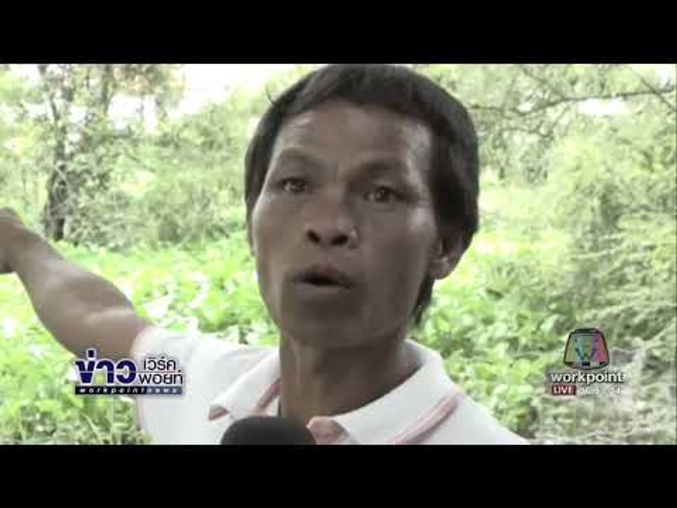 ชาวบ้านผวาหลัง จนท ยังจับจระเข้ที่หลุดจากบ่อได้ l ข่าวเวิร์คพอยท์ l 17 ต.ค.60