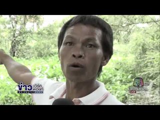 ชาวบ้านผวาหลัง จนท ยังจับจระเข้ที่หลุดจากบ่อได้ l ข่าวเวิร์คพอยท์ l 17 ต.ค.60