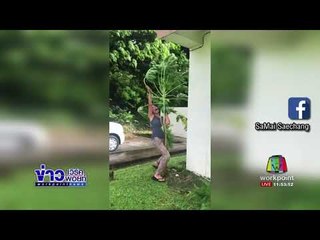 กู้ภัยญี่ปุ่นช่วยคนไร้บ้านจากไต้ฝุ่น “ลัง” l ข่าวเวิร์คพอยท์ l 23 ต.ค.60