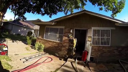 Un pompier sauve un chaton durant un incendie de maison