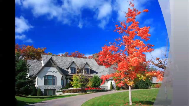 True Lawn Care LLC - (616) 350-6723