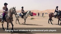 Long-distance horse race in Moroccan desert