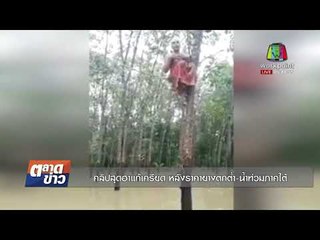 คลิปสุดฮาแก้เครียด หลังราคายางตกต่ำ น้ำท่วมภาคใต้ l ข่าวเวิร์คพอยท์ l  เช้า 27 พ.ย.60