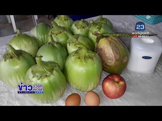 มะเขือเปราะยักษ์ลูกละ 1 กิโล ใหญ่เท่าแตงโม  l ข่าวเวิร์คพอยท์ l 18 ม.ค.61 (เที่ยง)