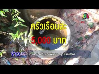มดสร้างเมือง  เรื่อง ชาวบ้านโวยแจกพันธุ์ปลาดุกไม่สมราคา  |ข่าวเวิร์คพอยท์| เที่ยง  6 ธ.ค. 60