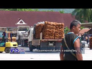 แนวโน้มราคายางเพิ่มขึ้นด้วย 4 อานิสงส์ l ข่าวเวิร์คพอยท์ l 4 ธ.ค.60 ดู 18 ครั้ง