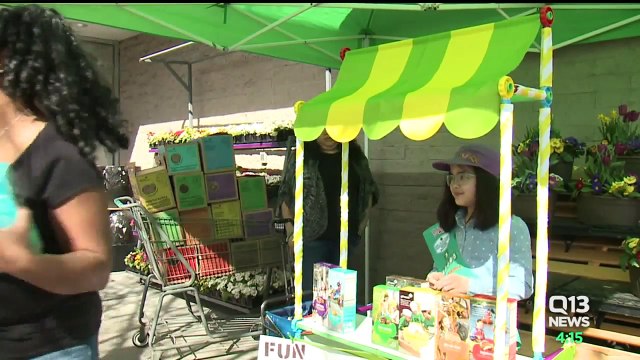 Girl Scout Refuses to Let Attempted Robbery Stop Her Cookie Sales