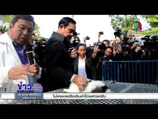 “บิ๊กตู่” ประกาศตัว เป็นนักการเมือง ยันเลือกตั้งตามโรดแมป l ข่าวเวิร์คพอยท์ (เช้า) l 4 ม.ค.61