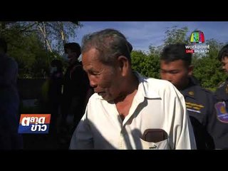 สลด หมากินศพเจ้าของ หลังตายไม่มีใครให้อาหาร  l ข่าวเวิร์คพอยท์ (เช้า) l  4 ม.ค.61