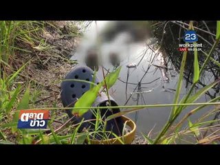 มดสร้างเมือง |ข่าวเวิร์คพอยท์| 16 ม.ค. 61