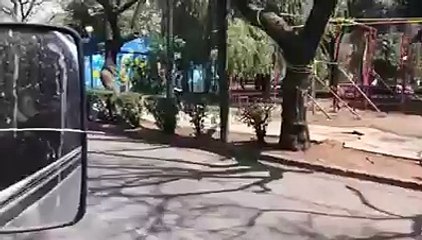 La caída de San Judas Tadeo