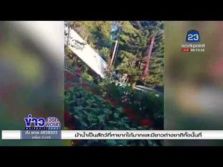 รถทัวร์เบรแตกขณะขับลงดอยสุเทพ ผู้โดยสารเจ็บระนาว  l ข่าวเวิร์คพอยท์ l 23 ม.ค.61 (เช้า)