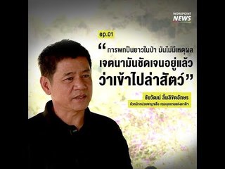 ชัยวัฒน์ ยืนยันปืนไรเฟิลเป็นของเปรมชัย ย้ำชัดเจนว่าเข้าไปล่าสัตว์