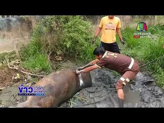 กู้ภัยช่วยหมูหนักกว่า 250 กิโลกรัมจมโคลนนาน 3 วัน l ข่าวเวิร์คพอยท์ l 4 ก.พ. 61 (เช้า)