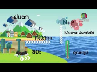 เขียว=แพลงตอน?  ช้างผอม=กลัวอ้วน? ฟาร์มจระเข้ฯ สมุทรปราการ l ข่าวเวิร์คพอยท์ l 31 ม.ค. 61