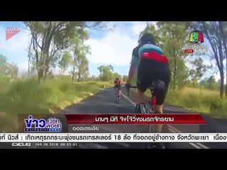 นานๆมีที จิงโจ้วิ่งชนรถจักรยาน l ข่าวเวิร์คพอยท์ l 31 ม.ค. 61