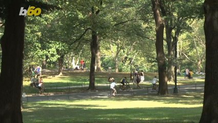 Do These Activities On Spring Break, No Matter Where You Travel