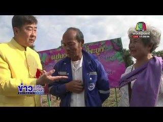 คู่รักแห่จดทะเบียนสมรสบนหินสามวาฬ  l ข่าวเวิร์คพอยท์ (เที่ยง) l 13 ก.พ. 61