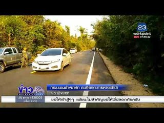 กระบะชนช้างขาหัก ตะเกียกตะกายหายเข้าป่า  l ข่าวเวิร์คพอยท์ l 23 ก.พ. 61 (เช้า)