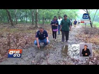 ช้างป่าบุกใช้งวงจับร่างหนุ่มฟาดพื้นบาดเจ็บ l ข่าวเวิร์คพอยท์ l 26 ก.พ.61