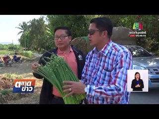 ลงแขกถอนหอมแดงยักษ์ เผยใส่ปุ๋ยสูตรพิเศษ | ข่าวเวิร์คพอยท์ | 2 มี.ค. 61