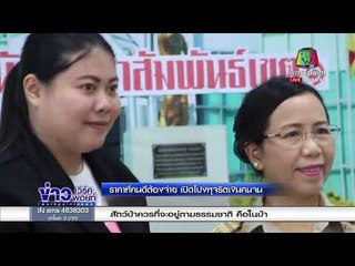 ราคาที่ต้องจ่าย เปิดโปงทุจริตเงินคนจน l ข่าวเวิร์คพอยท์ l  7 มี.ค.61