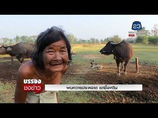 พบควายประหลาด เขาชี้ลงดิน l บรรจงชงข่าว l 28 ก.พ. 61