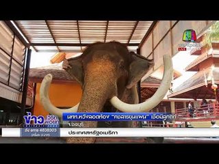 นทท.  หวังรอดท้อง “คชสารขุนแผน” เชื่อมีลูกดก l ข่าวเวิร์คพอยท์ l 20 ก.พ.61