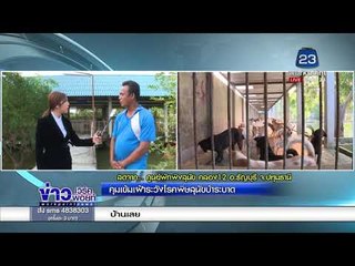 คุมเข้มเฝ้าระวังโรคพิศสุนัขบ้าระบาด l ข่าวเวิร์คพอยท์ l  7 มี.ค.61