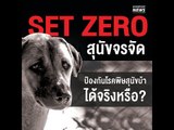 Set Zero สุนัขจรจัด ป้องกันโรคพิษสุนัขบ้าได้จริงหรือ?