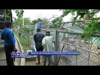 ยัน อปท.  ฉีดวัคซีนหมาบ้าได้เลยไม่ต้องรอปศุสัตว์ l ข่าวเวิร์คพอยท์ l 14 มี.ค. 61