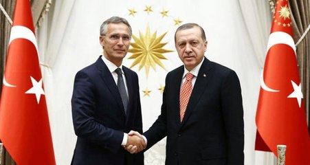 Erdoğan, NATO Genel Sekreteri ile Zeytin Dalı Harekatı'nı Görüştü