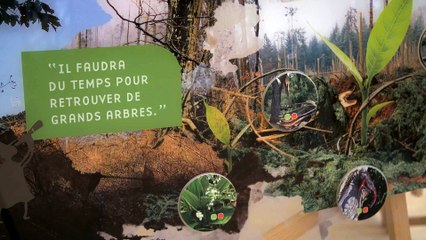 Cap à l'Est - Pays du Saintois