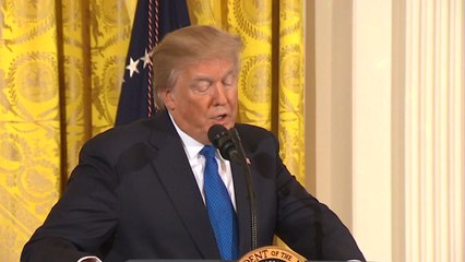 트럼프 "김정은 5월 내 만날 것"...美 범정부 준비 착수 / YTN