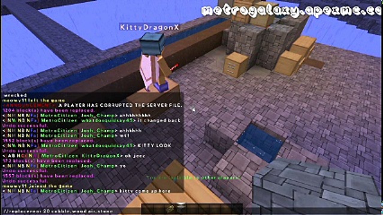 Support Video
