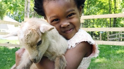Little Boy Sings Baby Chick To Sleep