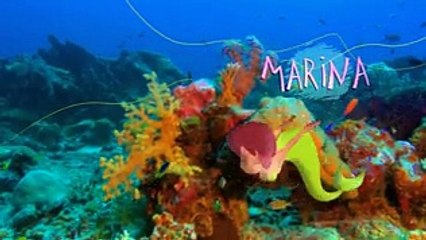 zig-and-sharko-episode-fishermans-catch