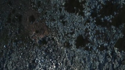 Collezione Automobili Lamborghini 2018