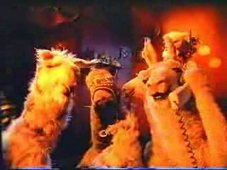 La llama ke llama Veterinaria