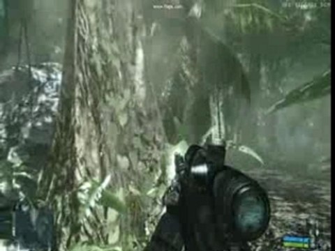Jungle sauvage dans Crysis