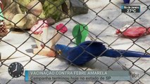 Zoológico de São Paulo completa 60 anos nesta sexta-feira (16)