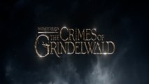 Fantastic Beasts|| The Crimes of Grindelwald || Teaser Trailer #1 (2018)   Eddie Redmayne